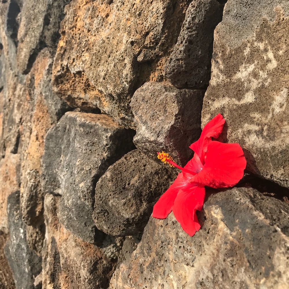 Meet your Posher, Eloise